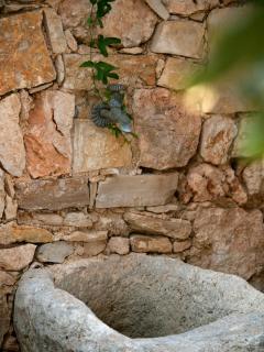 The Garden of Zephyrus - West - Kounoupidhianá - 1