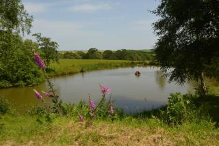 Woodland Cottage - South Molton - 8