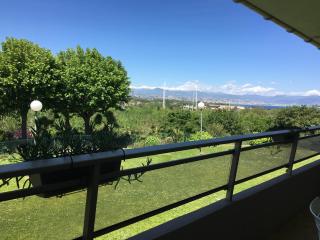 Zen Garden Pool,3bedrooms, Beach800m,box&wifi - Antibes - 1