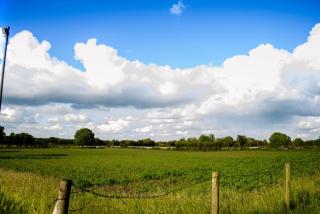Corrib View Farmhouse - Galway - 3