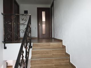 Vila Andrei - Zărneşti - 4