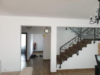 Vila Andrei - Zărneşti - 3