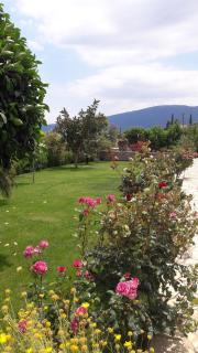 Karantonis House - Leonidio - 7
