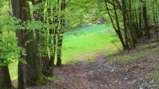 Hollweck´s Landoase - Pilsach - 1