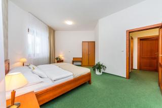 Hotel Horal - Rožnov pod Radhoštěm - 5