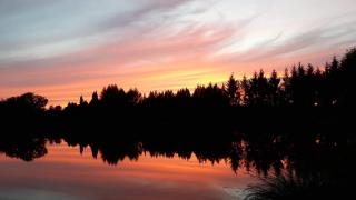 Spruce Lake - Sauviat-sur-Vige - 8
