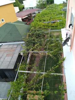 Apartments Music - Sutomore - 7