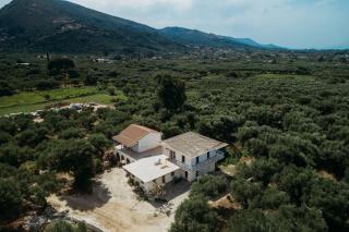 Olive yard house - Lithakia - 1