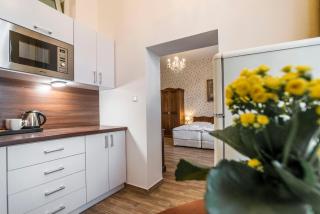 RETRO Apartments Bosak Contactless check-in - Prešov - 7
