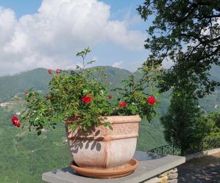 Elsa House - Mezzanego - 8