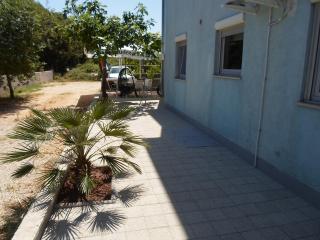 Zaton - Nin Family apartment - Zaton - 5