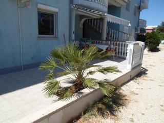 Zaton - Nin Family apartment - Zaton - 9