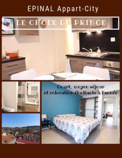 La vue du Prince au 1D - Épinal - 7