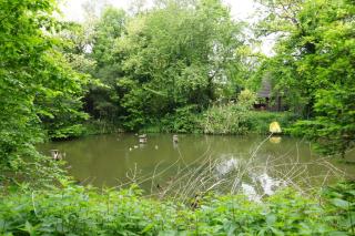 Gästewohnung Hardinghaus am Teich - Warendorf - 4