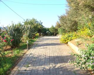 Villa Rosemagnolia, pool 35m2, in green, gardens, full sun close to everything - Ayiá - 5