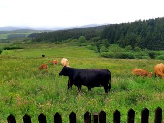 An Cois Na H-Aibhne - Skeabost - 9