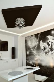 Apartament Pegaz - Gniezno - 7