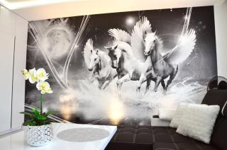Apartament Pegaz - Gniezno - 6