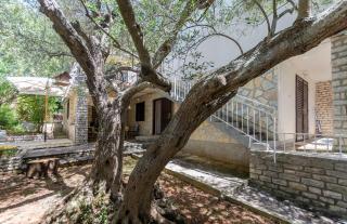 Apartment Maslina - Vodice - 0