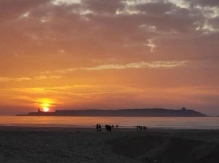 Essaouira Beach & Loft - Essaouira - 0