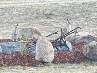 R & R On The Ravine - 2