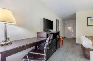 Quality Inn Auburn Campus Area I-85 - Auburn - 9