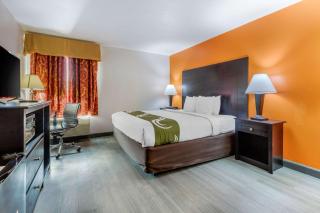 Quality Inn Auburn Campus Area I-85 - Auburn - 3
