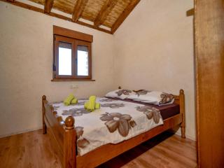 Holiday home Anita 2 for 8 persons with pool - Stankovci - 1
