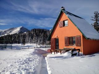 Orange House in nature - Žabljak - 0
