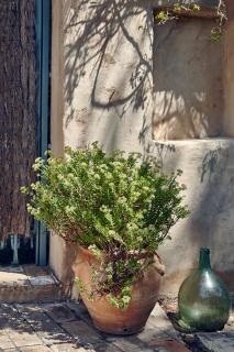 Casa Jasmin at Masia Nur Sitges, Adults only - Canyelles - 7