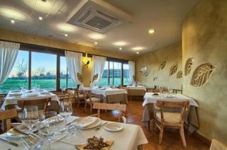 Hotel Llano Tineo - Villanueva de la Vera - 1