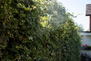 Cascina36 B&B - Pregnana Milanese - 9