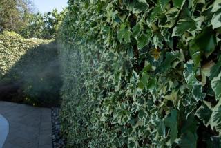 Cascina36 B&B - Pregnana Milanese - 6