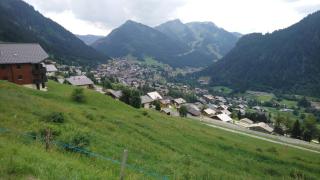 Les gentianes - Châtel - 5