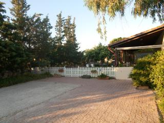 The Garden of Zephyrus - West - Kounoupidhianá - 9