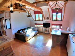 Homely Apartment's Old Town - Krakau - 8