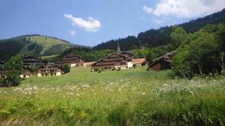 Les gentianes - Châtel - 0