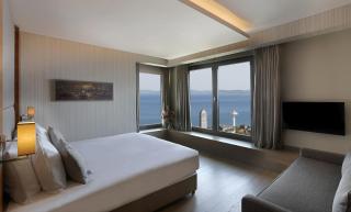 Hotel Arcadia Blue Istanbul - Istanbul - 1
