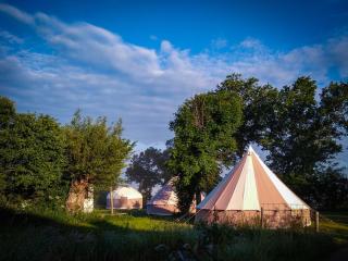 Cool Under Canvas - Miremont - 0