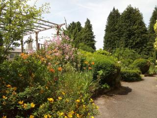 La Maison Du Marchand - 8