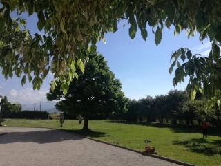 B&B Villa Napoli - 3