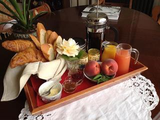 Le Logis du Pressoir Chambre d'Hotes Bed & Breakfast in beautiful 18th Century Estate in the heart of the Loire Valley with heated pool and extensive grounds - 5