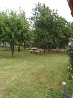 Apartman NINA - Ličko Petrovo Selo - 8