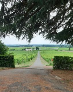 A L'OMBRE DE LA TREILLE -Proche Saint-Emilion - Saint-Magne-de-Castillon - 0