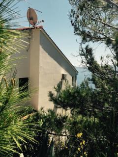 Adriatik Paradise - Mimice - 1