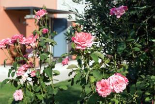Girasole Villa - Corfu - 5