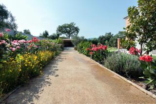 Girasole Villa - Corfu - 2