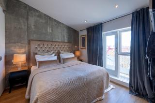 Reykjavik Penthouse Suite - 4