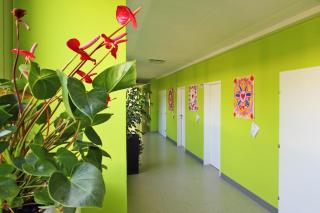 College Garden Hotel - Bad Vöslau - 6
