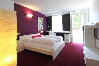 College Garden Hotel - Bad Vöslau - 8